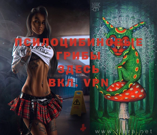 твердый Верхний Тагил