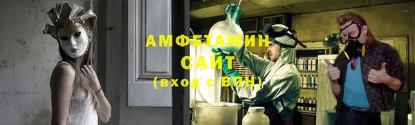 дурь Бронницы