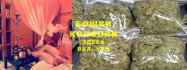 молекула духа Бородино